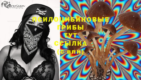 мдпв Бронницы