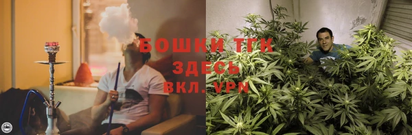 мдпв Бронницы